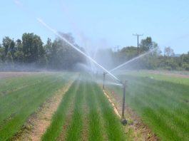Consejo de la Sociedad Civil de la CNR y gremios del agro participaron en discusión del nuevo reglamento de la Ley de Riego
