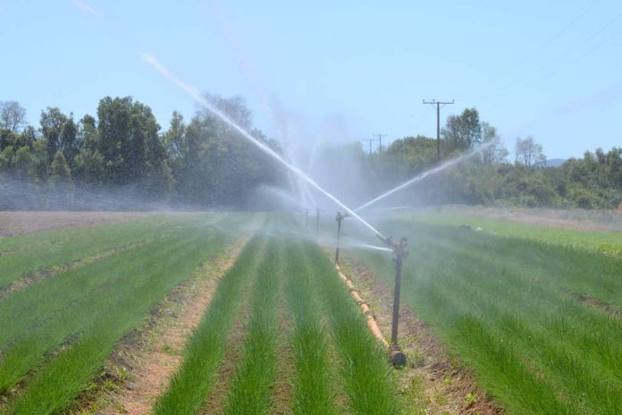 Consejo de la Sociedad Civil de la CNR y gremios del agro participaron en discusión del nuevo reglamento de la Ley de Riego