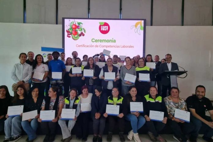 Copefrut reafirma su compromiso con el desarrollo de sus trabajadores Certifica competencias laborales de 70 colaboradores con apoyo de Chilealimentos y Otic Agrocap