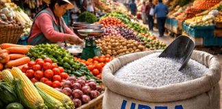 Costo de fertilizantes se duplica, ¿qué productos son los más impactados? Costo de fertilizantes se duplica, ¿qué productos son los más impactados?