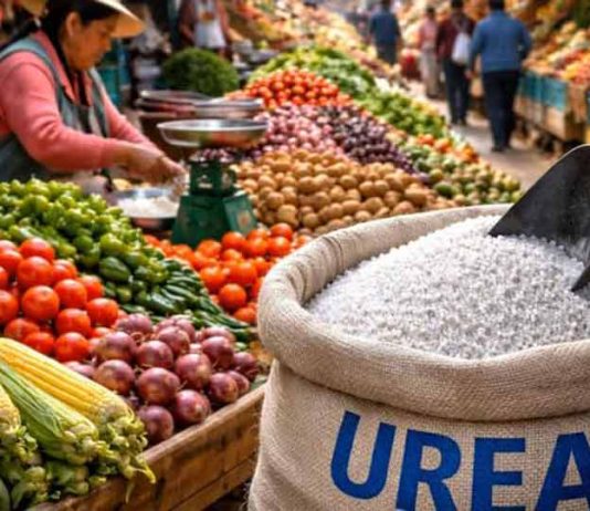 Costo de fertilizantes se duplica, ¿qué productos son los más impactados?