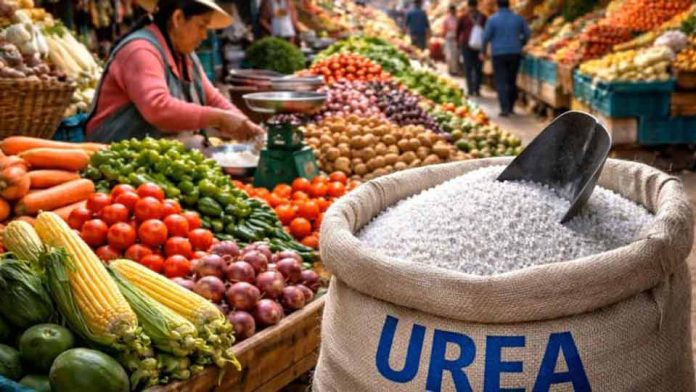 Costo de fertilizantes se duplica, ¿qué productos son los más impactados?