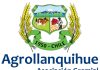 Declaración Agrollanquihue ante el alza en el precio de los combustibles Declaración Agrollanquihue ante el alza en el precio de los combustibles