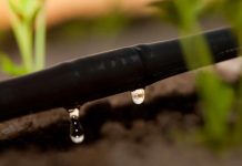 Directora de Escenarios Hídricos 2030 «Chile enfrenta un problema estructural debido a la falta de políticas públicas intensivas y consistentes»