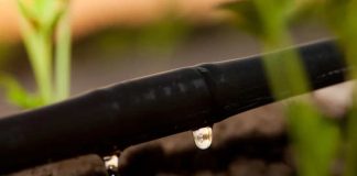 Directora de Escenarios Hídricos 2030: «Chile enfrenta un problema estructural debido a la falta de políticas públicas intensivas y consistentes» Directora de Escenarios Hídricos 2030 «Chile enfrenta un problema estructural debido a la falta de políticas públicas intensivas y consistentes»