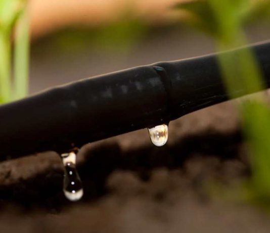 Directora de Escenarios Hídricos 2030: «Chile enfrenta un problema estructural debido a la falta de políticas públicas intensivas y consistentes» Directora de Escenarios Hídricos 2030 «Chile enfrenta un problema estructural debido a la falta de políticas públicas intensivas y consistentes»