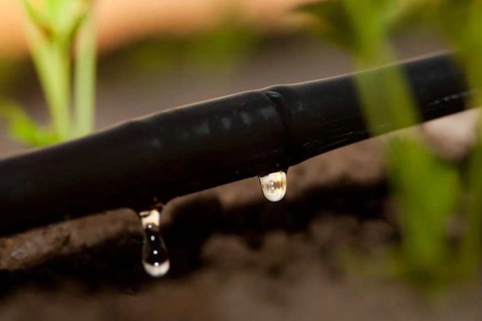 Directora de Escenarios Hídricos 2030 «Chile enfrenta un problema estructural debido a la falta de políticas públicas intensivas y consistentes»