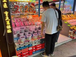 El futuro de los arándanos también pasa por Nanjing.