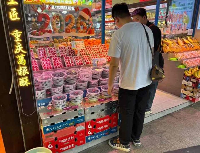 El futuro de los arándanos también pasa por Nanjing. El futuro de los arándanos también pasa por Nanjing.