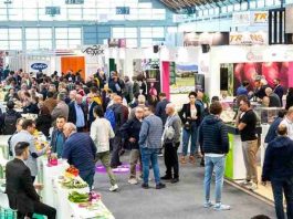 Empresas de Antofagasta llegan a Macfrut 2026 con soluciones innovadoras para el sector agroalimentario internacional