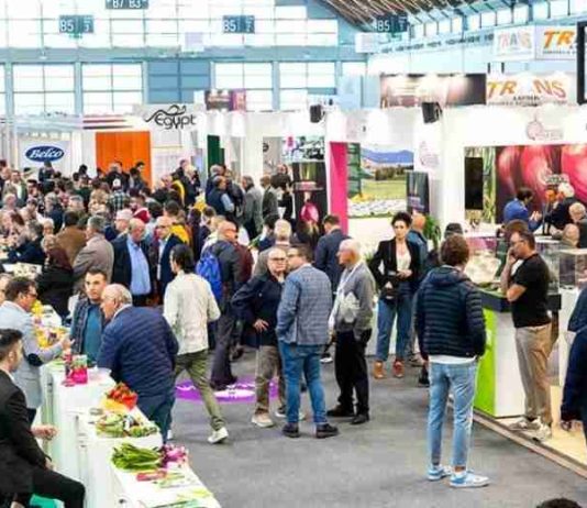 Empresas de Antofagasta llegan a Macfrut 2026 con soluciones innovadoras para el sector agroalimentario internacional