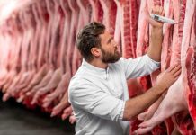 España | ANICE destaca la solidez del modelo español de bienestar animal España ANICE destaca la solidez del modelo español de bienestar animal