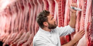 España ANICE destaca la solidez del modelo español de bienestar animal