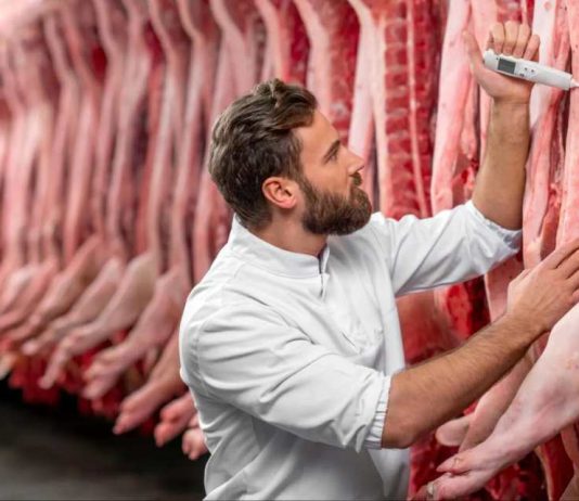 España | ANICE destaca la solidez del modelo español de bienestar animal España ANICE destaca la solidez del modelo español de bienestar animal