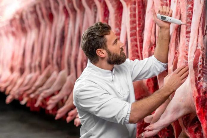 España ANICE destaca la solidez del modelo español de bienestar animal