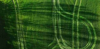 España pide a la UE un plan de fertilizantes ante la crisis en Oriente Medio España pide a la UE un plan de fertilizantes ante la crisis en Oriente Medio