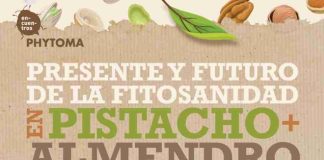 España | se viene el Encuentro sobre pistacho y almendro, también en streaming