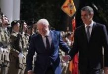 Reportaje | España y Brasil acuerdan cooperación en ganadería bovina y agronegocios: ¿qué significa para la posición competitiva de Chile?