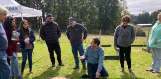 Especialistas abordan manejo sustentable del fósforo en taller realizado en la cuenca del Lago Villarrica
