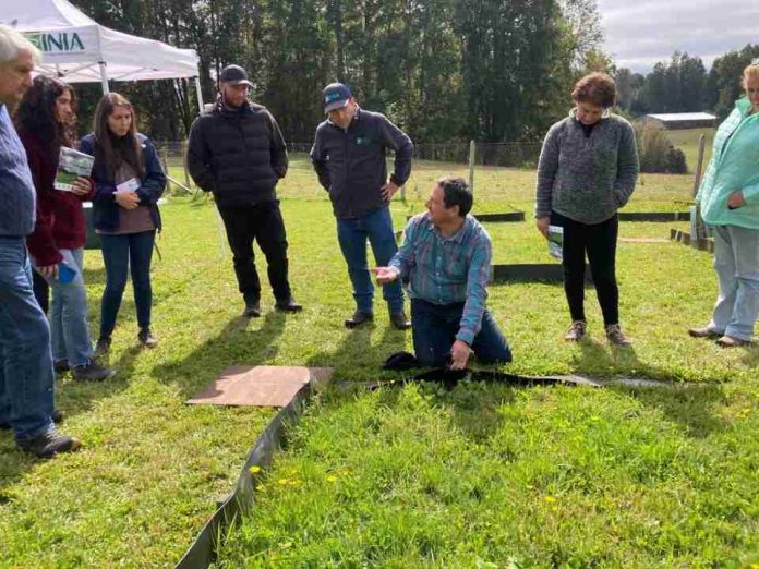 Especialistas abordan manejo sustentable del fósforo en taller realizado en la cuenca del Lago Villarrica