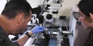 Estados Unidos | Un dispositivo reactivado revela olores que atraen y repelen las plagas de los cultivos. Estados Unidos | Un dispositivo reactivado revela olores que atraen y repelen las plagas de los cultivos.