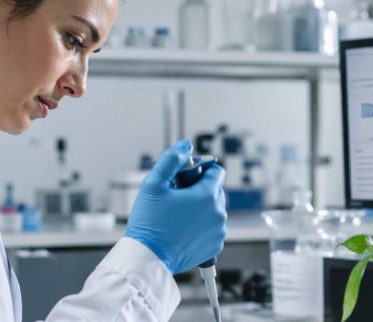 Euroseeds destaca avance en la regulación europea sobre Nuevas Técnicas Genómicas (NGTs)