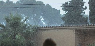 Fenómeno de El Niño ¿Será un verdadero Godzilla en Chile