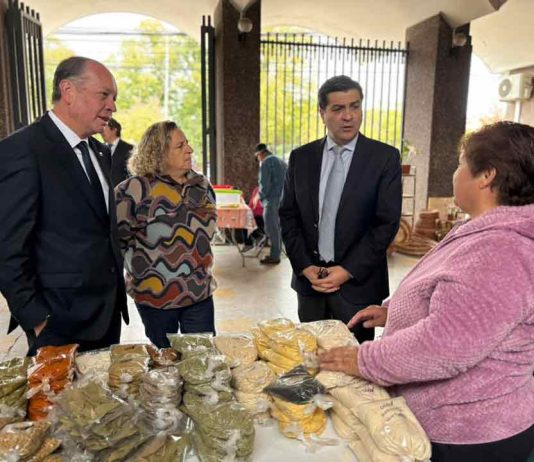 Feria Campesina de Los Ángeles potencia producción de pequeños agricultores de la provincia de Biobío 
