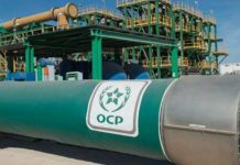 Fertilizantes al alza por la guerra; Marruecos listo para cubrir la demanda global