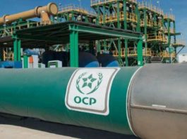 Fertilizantes al alza por la guerra; Marruecos listo para cubrir la demanda global