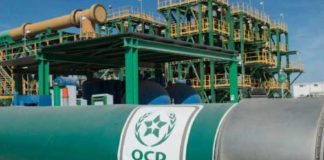 Fertilizantes al alza por la guerra; Marruecos listo para cubrir la demanda global