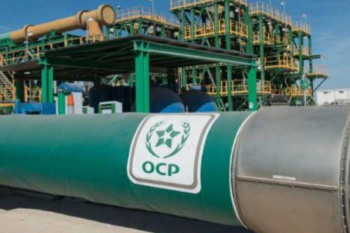 Fertilizantes al alza por la guerra; Marruecos listo para cubrir la demanda global