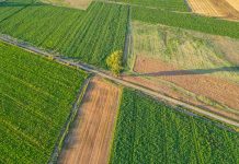 Fertilizantes en alerta máxima