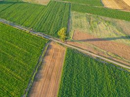 Fertilizantes en alerta máxima