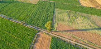 Reportaje | Fertilizantes en alerta máxima: el agro latinoamericano enfrenta una crisis de costos que ya se siente en el campo Fertilizantes en alerta máxima