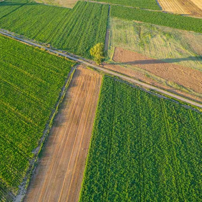Fertilizantes en alerta máxima