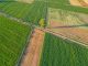 Fertilizantes en alerta máxima