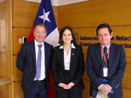 Frutas de Chile se reúne con subsecretaria de la Subrei y presenta los principales desafíos en los mercados externos