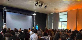 Fruticultura chilena redefine su estrategia desde la cadena completa