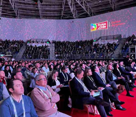 Global Cherry Summit 2026 reúne a la industria de la cereza para analizar la temporada y definir el rumbo estratégico del sector