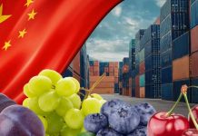 Gran logro para facilitar los envíos de frutas Chile será el primer país del mundo con certificación fitosanitaria 100% digital con China