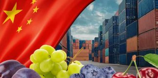 Gran logro para facilitar los envíos de frutas Chile será el primer país del mundo con certificación fitosanitaria 100% digital con China