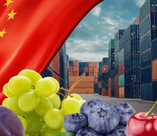 Gran logro para facilitar los envíos de frutas Chile será el primer país del mundo con certificación fitosanitaria 100% digital con China