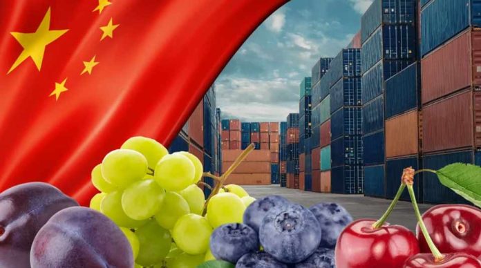 Gran logro para facilitar los envíos de frutas Chile será el primer país del mundo con certificación fitosanitaria 100% digital con China