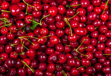 la caída de Rio King y lo que le dice al agro chileno