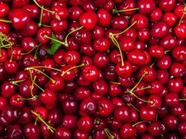 la caída de Rio King y lo que le dice al agro chileno