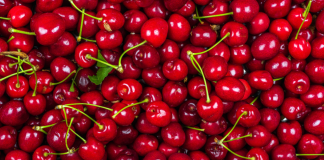 la caída de Rio King y lo que le dice al agro chileno