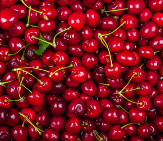 la caída de Rio King y lo que le dice al agro chileno