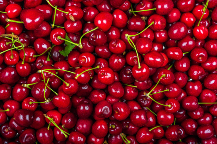 la caída de Rio King y lo que le dice al agro chileno