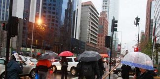 «Hay que estar preparado»: Jaime Leyton y el análisis de cuándo llegarán las intensas lluvias del «Niño Godzilla» "Hay que estar preparado": Jaime Leyton y el análisis de cuándo llegarán las intensas lluvias del "Niño Godzilla"